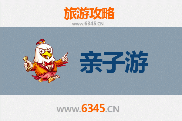 陇南徽县亲子游攻略：探索自然与文化的家庭之旅